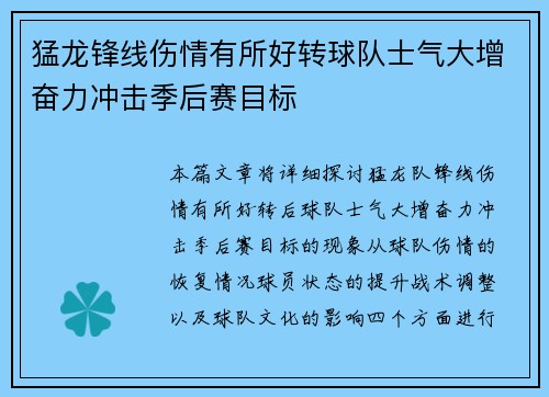 猛龙锋线伤情有所好转球队士气大增奋力冲击季后赛目标